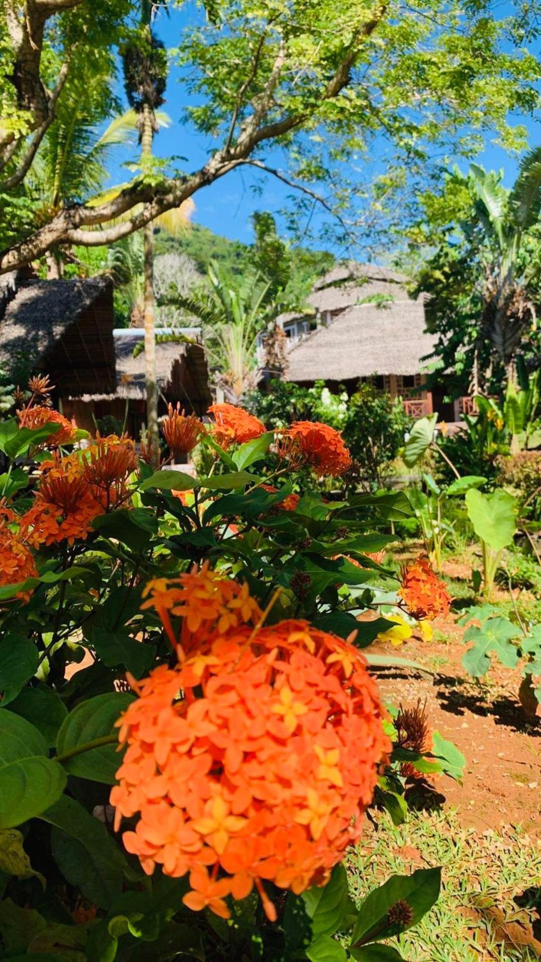Ampangorinana Tamarin Lodge מראה חיצוני תמונה