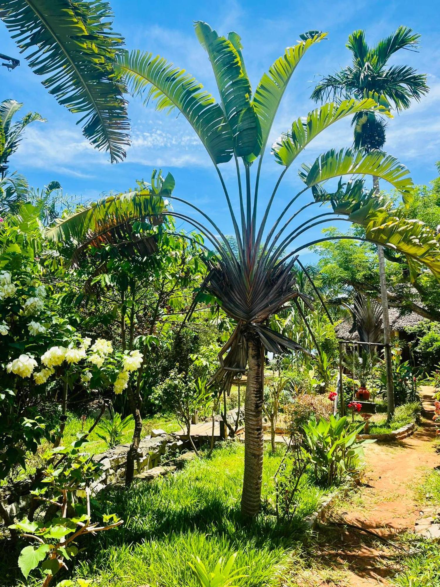 Ampangorinana Tamarin Lodge מראה חיצוני תמונה