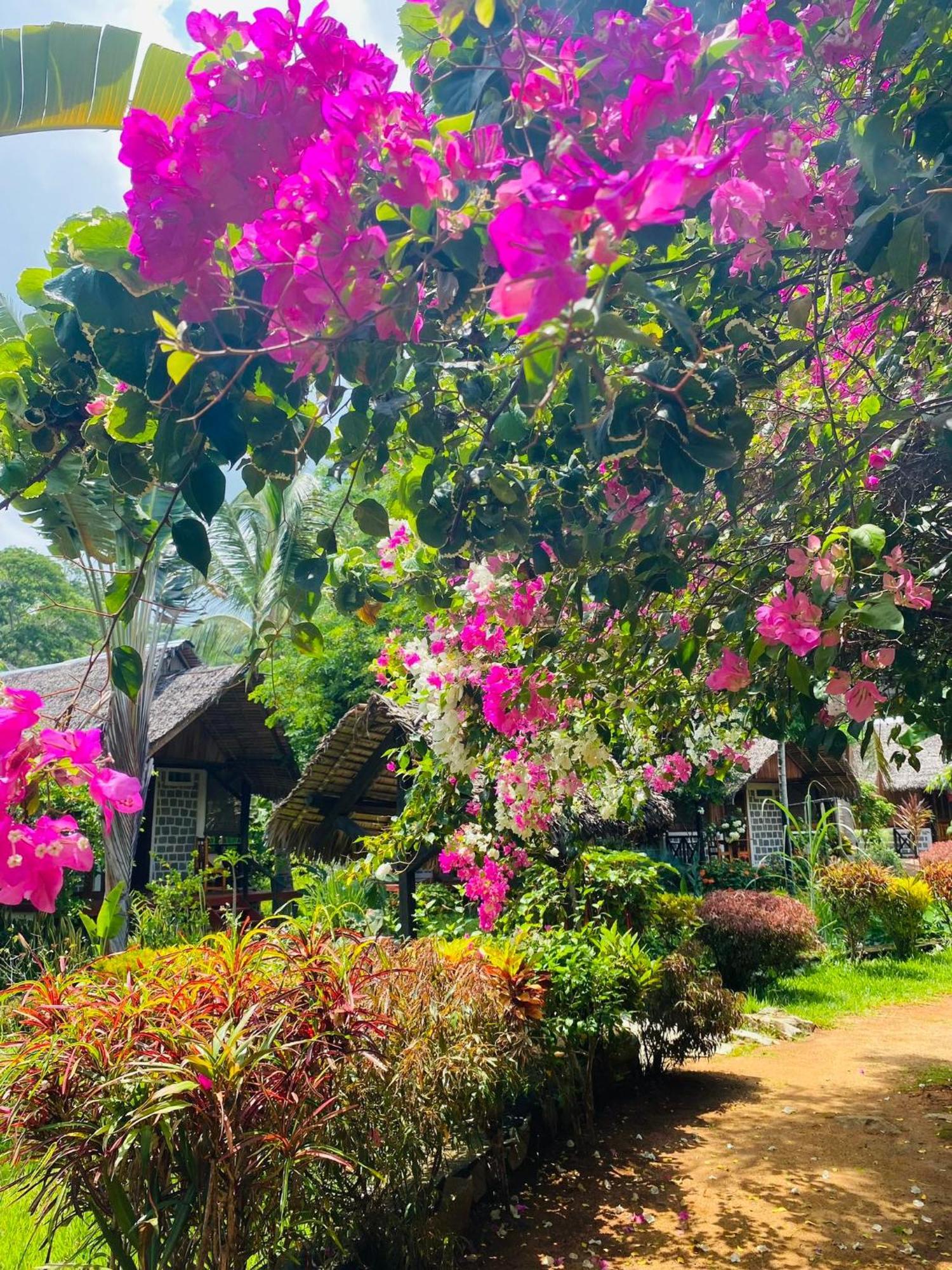 Ampangorinana Tamarin Lodge מראה חיצוני תמונה
