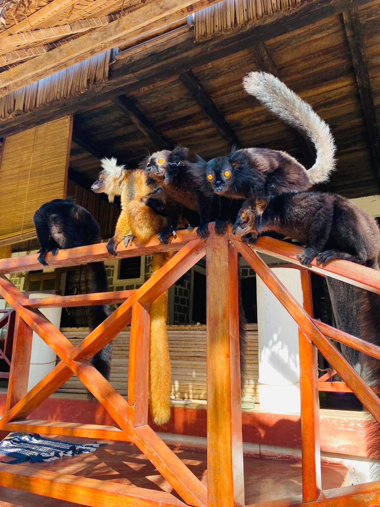 Ampangorinana Tamarin Lodge מראה חיצוני תמונה